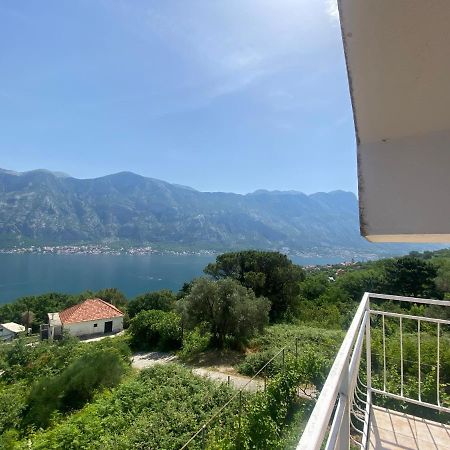 Apartments Djuricic كوتور المظهر الخارجي الصورة
